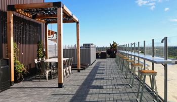 Pioneer rooftop 1b